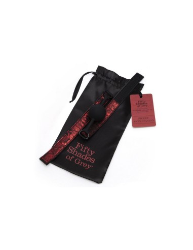 Bâillon Fifty Shades of Grey Sweet Anticipation