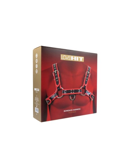 Harnais New Comers Virgite MOD. 1 Noir