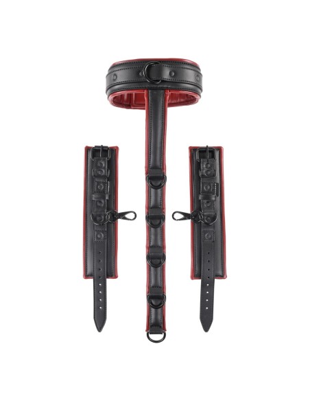 Harnais New Comers Sportsheets Pegging Noir